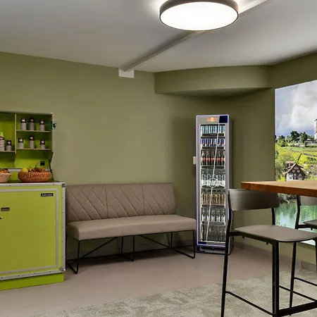 Motel Flexymotel Buchs 3*