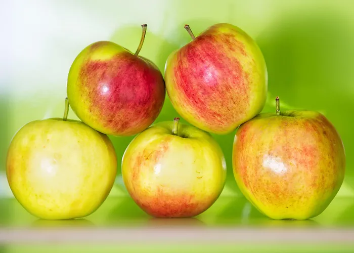 Мотель Flexymotel